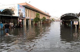 TP Hồ Chí Minh bàn giải pháp cho thoát nước đô thị